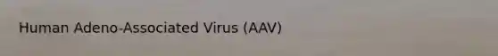 Human Adeno-Associated Virus (AAV)