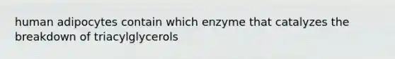 human adipocytes contain which enzyme that catalyzes the breakdown of triacylglycerols