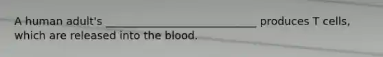 A human adult's ____________________________ produces T cells, which are released into the blood.