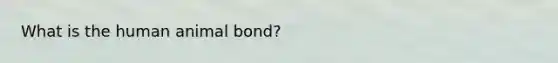 What is the human animal bond?