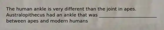 The human ankle is very different than the joint in apes. Australopithecus had an ankle that was _________________________ between apes and modern humans