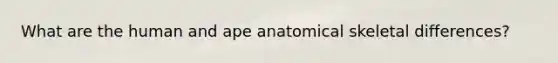 What are the human and ape anatomical skeletal differences?