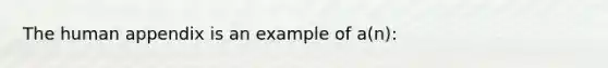 The human appendix is an example of a(n):