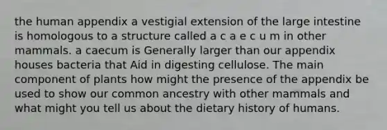 the human appendix a vestigial extension of the large intestine is homologous to a structure called a c a e c u m in other mammals. a caecum is Generally larger than our appendix houses bacteria that Aid in digesting cellulose. The main component of plants how might the presence of the appendix be used to show our common ancestry with other mammals and what might you tell us about the dietary history of humans.