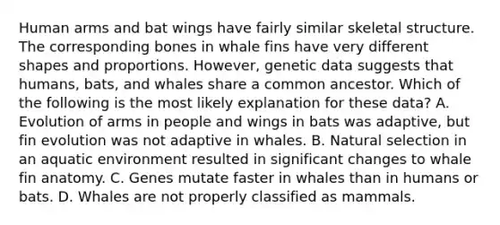 Human arms and bat wings have fairly similar skeletal structure. The corresponding bones in whale fins have very different shapes and proportions. However, genetic data suggests that humans, bats, and whales share a common ancestor. Which of the following is the most likely explanation for these data? A. Evolution of arms in people and wings in bats was adaptive, but fin evolution was not adaptive in whales. B. Natural selection in an aquatic environment resulted in significant changes to whale fin anatomy. C. Genes mutate faster in whales than in humans or bats. D. Whales are not properly classified as mammals.