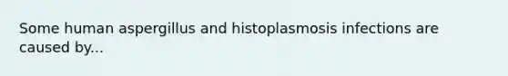 Some human aspergillus and histoplasmosis infections are caused by...