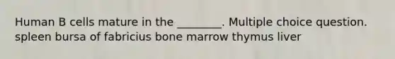 Human B cells mature in the ________. Multiple choice question. spleen bursa of fabricius bone marrow thymus liver
