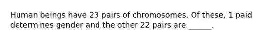 Human beings have 23 pairs of chromosomes. Of these, 1 paid determines gender and the other 22 pairs are ______.