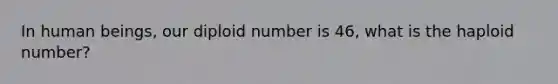 In human beings, our diploid number is 46, what is the haploid number?