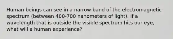 Human beings can see in a narrow band of the electromagnetic spectrum (between 400-700 nanometers of light). If a wavelength that is outside the visible spectrum hits our eye, what will a human experience?