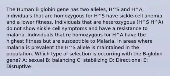 The Human B-globin gene has two alleles, H^S and H^A, individuals that are homozygous for H^S have sickle-cell anemia and a lower fitness. Individuals that are heterozygous (H^S H^A) do not show sickle-cell symptoms and have a resistance to malaria. Individuals that re homozygous for H^A have the highest fitness but are susceptible to Malaria. In areas where malaria is prevalent the H^S allele is maintained in the population. Which type of selection is occurring with the B-globin gene? A: sexual B: balancing C: stabilizing D: Directional E: Disruptive