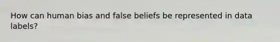 How can human bias and false beliefs be represented in data labels?