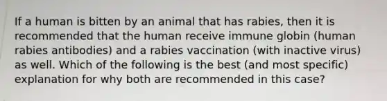 If a human is bitten by an animal that has rabies, then it is recommended that the human receive immune globin (human rabies antibodies) and a rabies vaccination (with inactive virus) as well. Which of the following is the best (and most specific) explanation for why both are recommended in this case?