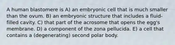 A human blastomere is A) an embryonic cell that is much smaller than the ovum. B) an embryonic structure that includes a fluid-filled cavity. C) that part of the acrosome that opens the egg's membrane. D) a component of the zona pellucida. E) a cell that contains a (degenerating) second polar body.