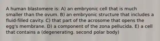 A human blastomere is: A) an embryonic cell that is much smaller than the ovum. B) an embryonic structure that includes a fluid-filled cavity. C) that part of the acrosome that opens the egg's membrane. D) a component of the zona pellucida. E) a cell that contains a (degenerating. second polar body)