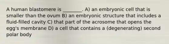 A human blastomere is ________. A) an embryonic cell that is smaller than the ovum B) an embryonic structure that includes a fluid-filled cavity C) that part of the acrosome that opens the egg's membrane D) a cell that contains a (degenerating) second polar body