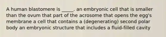 A human blastomere is _____. an embryonic cell that is smaller than the ovum that part of the acrosome that opens the egg's membrane a cell that contains a (degenerating) second polar body an embryonic structure that includes a fluid-filled cavity