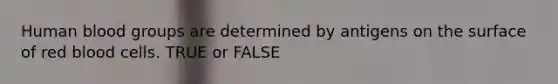 Human blood groups are determined by antigens on the surface of red blood cells. TRUE or FALSE