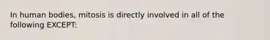 In human bodies, mitosis is directly involved in all of the following EXCEPT: