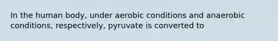 In the human body, under aerobic conditions and anaerobic conditions, respectively, pyruvate is converted to