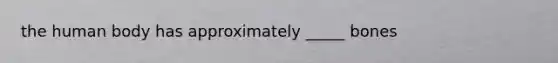 the human body has approximately _____ bones