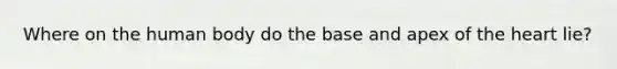 Where on the human body do the base and apex of the heart lie?