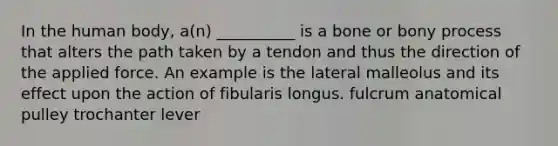 In the human body, a(n) __________ is a bone or bony process that alters the path taken by a tendon and thus the direction of the applied force. An example is the lateral malleolus and its effect upon the action of fibularis longus. fulcrum anatomical pulley trochanter lever