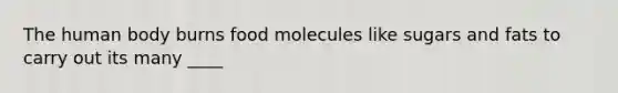 The human body burns food molecules like sugars and fats to carry out its many ____