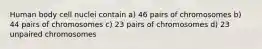 Human body cell nuclei contain a) 46 pairs of chromosomes b) 44 pairs of chromosomes c) 23 pairs of chromosomes d) 23 unpaired chromosomes