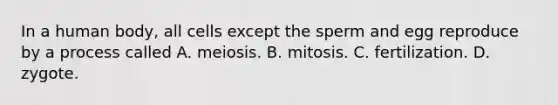 In a human body, all cells except the sperm and egg reproduce by a process called A. meiosis. B. mitosis. C. fertilization. D. zygote.