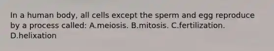 In a human body, all cells except the sperm and egg reproduce by a process called: A.meiosis. B.mitosis. C.fertilization. D.helixation