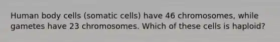 Human body cells (somatic cells) have 46 chromosomes, while gametes have 23 chromosomes. Which of these cells is haploid?