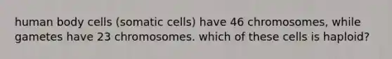 human body cells (somatic cells) have 46 chromosomes, while gametes have 23 chromosomes. which of these cells is haploid?