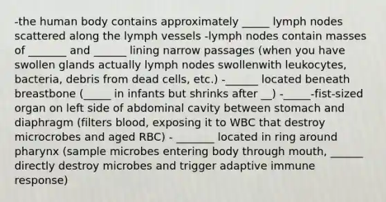 -the human body contains approximately _____ lymph nodes scattered along the lymph vessels -lymph nodes contain masses of _______ and ______ lining narrow passages (when you have swollen glands actually lymph nodes swollenwith leukocytes, bacteria, debris from dead cells, etc.) -______ located beneath breastbone (_____ in infants but shrinks after __) -_____-fist-sized organ on left side of abdominal cavity between stomach and diaphragm (filters blood, exposing it to WBC that destroy microcrobes and aged RBC) - _______ located in ring around pharynx (sample microbes entering body through mouth, ______ directly destroy microbes and trigger adaptive immune response)