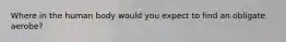 Where in the human body would you expect to find an obligate aerobe?