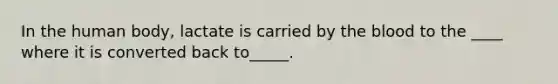 In the human body, lactate is carried by the blood to the ____ where it is converted back to_____.