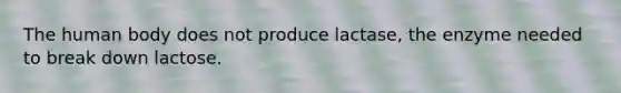 The human body does not produce lactase, the enzyme needed to break down lactose.