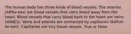 The human body has three kinds of blood vessels. The arteries (ARTur-ees) are blood vessels that carry blood away from the heart. Blood vessels that carry blood back to the heart are veins (VANES). Veins and arteries are connected by capillaries (KAPuh-ler-ees). Capillaries are tiny blood vessels. True or False