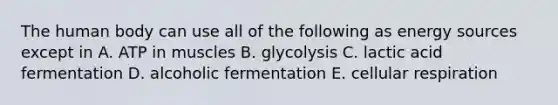 The human body can use all of the following as energy sources except in A. ATP in muscles B. glycolysis C. lactic acid fermentation D. alcoholic fermentation E. <a href='https://www.questionai.com/knowledge/k1IqNYBAJw-cellular-respiration' class='anchor-knowledge'>cellular respiration</a>