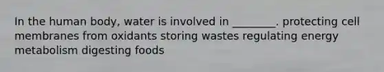 In the human body, water is involved in ________. protecting cell membranes from oxidants storing wastes regulating energy metabolism digesting foods
