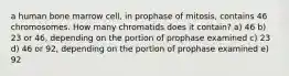 a human bone marrow cell, in prophase of mitosis, contains 46 chromosomes. How many chromatids does it contain? a) 46 b) 23 or 46, depending on the portion of prophase examined c) 23 d) 46 or 92, depending on the portion of prophase examined e) 92