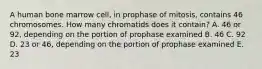 A human bone marrow cell, in prophase of mitosis, contains 46 chromosomes. How many chromatids does it contain? A. 46 or 92, depending on the portion of prophase examined B. 46 C. 92 D. 23 or 46, depending on the portion of prophase examined E. 23