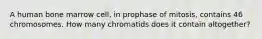 A human bone marrow cell, in prophase of mitosis, contains 46 chromosomes. How many chromatids does it contain altogether?