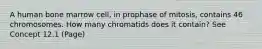 A human bone marrow cell, in prophase of mitosis, contains 46 chromosomes. How many chromatids does it contain? See Concept 12.1 (Page)