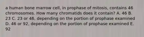 a human bone marrow cell, in prophase of mitosis, contains 46 chromosomes. How many chromatids does it contain? A. 46 B. 23 C. 23 or 46, depending on the portion of prophase examined D. 46 or 92, depending on the portion of prophase examined E. 92