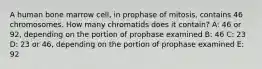 A human bone marrow cell, in prophase of mitosis, contains 46 chromosomes. How many chromatids does it contain? A: 46 or 92, depending on the portion of prophase examined B: 46 C: 23 D: 23 or 46, depending on the portion of prophase examined E: 92