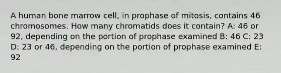 A human bone marrow cell, in prophase of mitosis, contains 46 chromosomes. How many chromatids does it contain? A: 46 or 92, depending on the portion of prophase examined B: 46 C: 23 D: 23 or 46, depending on the portion of prophase examined E: 92