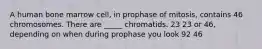 A human bone marrow cell, in prophase of mitosis, contains 46 chromosomes. There are _____ chromatids. 23 23 or 46, depending on when during prophase you look 92 46