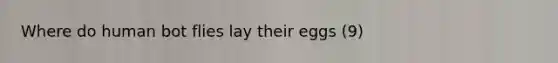 Where do human bot flies lay their eggs (9)