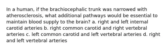 In a human, if the brachiocephalic trunk was narrowed with atherosclerosis, what additional pathways would be essential to maintain blood supply to the brain? a. right and left internal carotid arteries b. right common carotid and right vertebral arteries c. left common carotid and left vertebral arteries d. right and left vertebral arteries